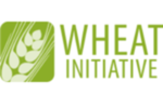 Wheat Initiative